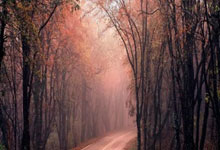 -皇马逆转战胜对手，排名再次升高！的简单介绍