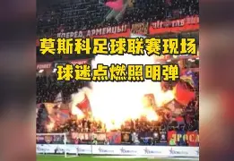 雷根斯堡逆转成功，点燃球迷热情的简单介绍